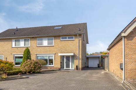 undefined main image