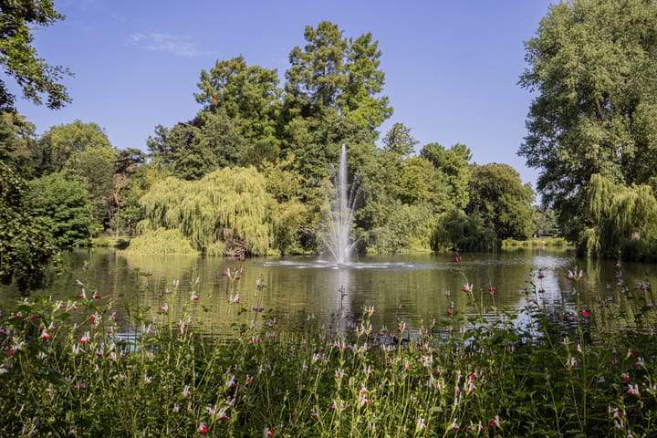 Foto 19 van Oudwijk 23-DD