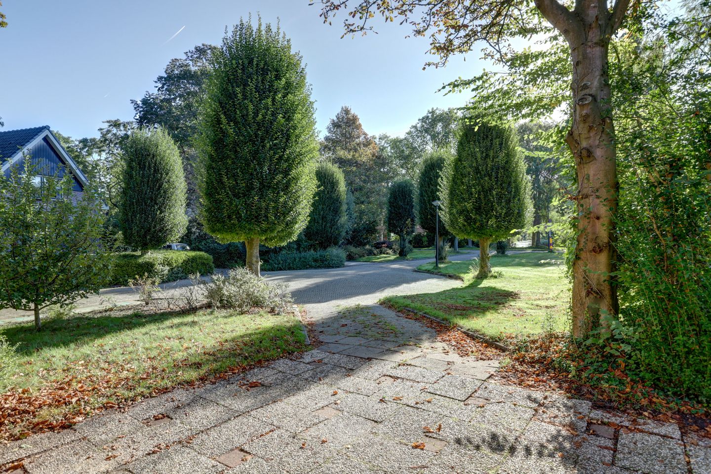 Foto 4 van Pastoor Sprengerstraat 1