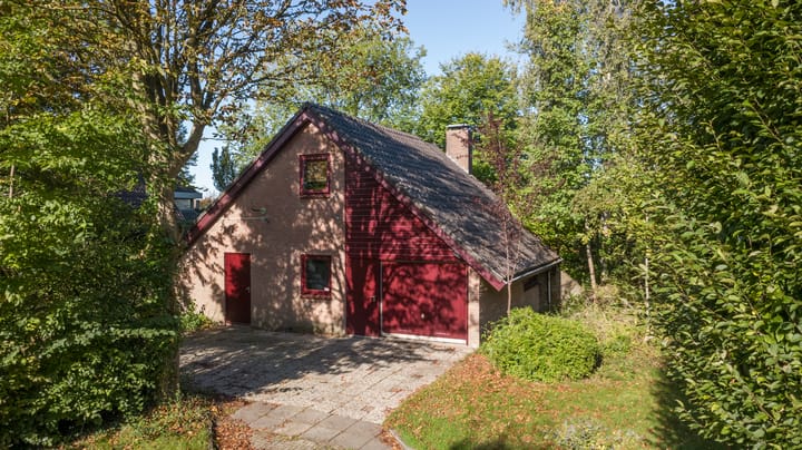 Foto 48 van Pastoor Sprengerstraat 1