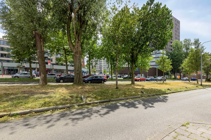 Foto 40 van Jadestraat 175-1