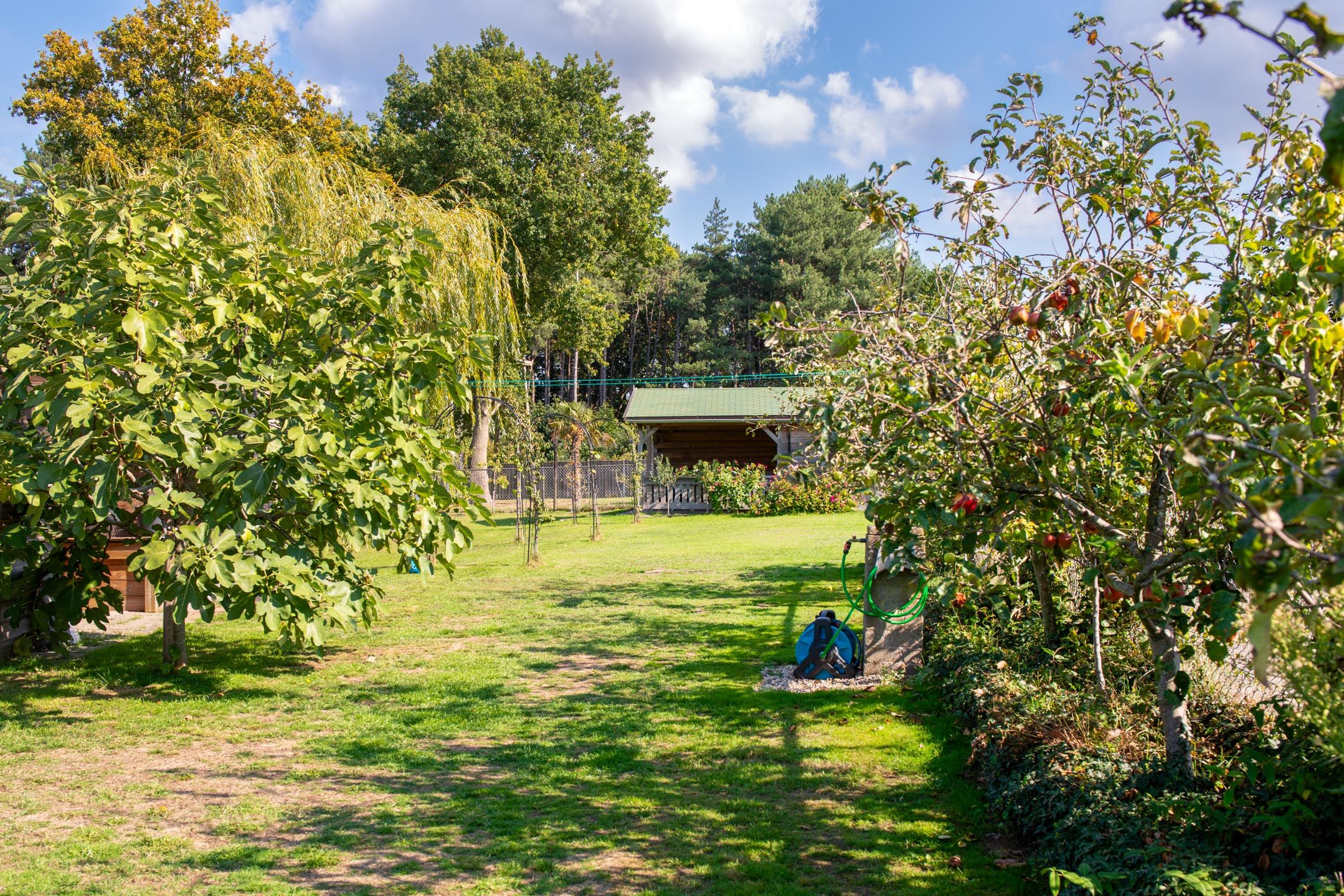 Foto 48 van Valkestraat 16