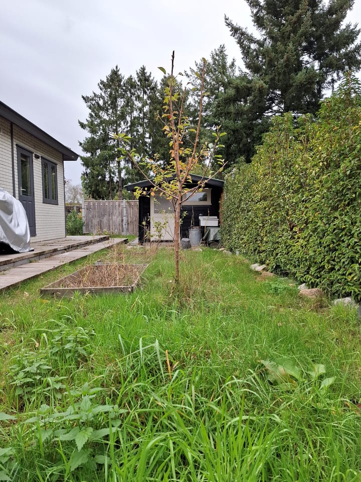 Photo 8 of Wildforsterweg 17-152