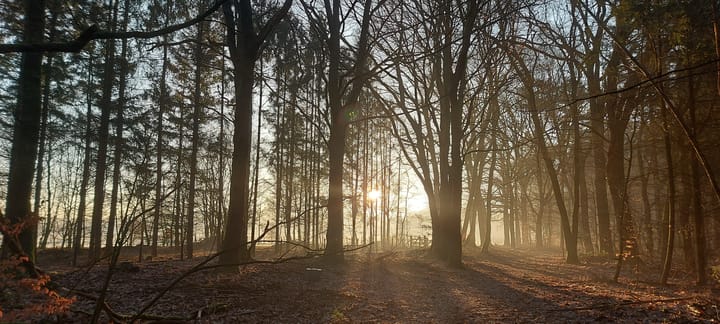 Photo 23 of Wildforsterweg 17-152