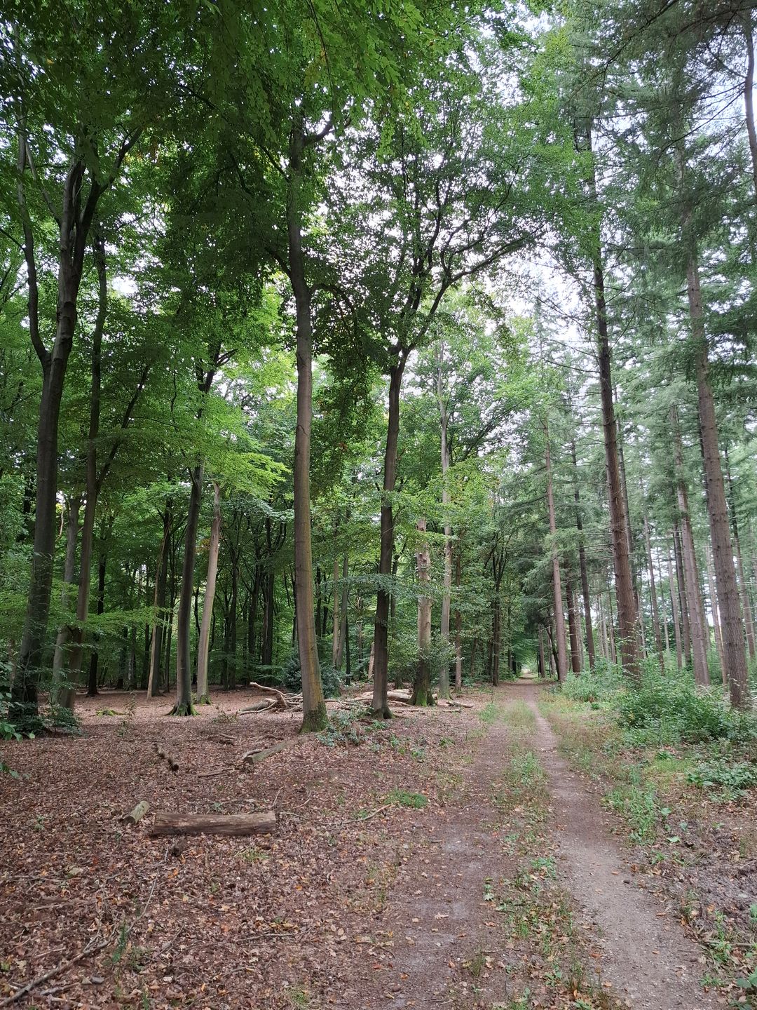 Foto 26 van Wildforsterweg 17-152