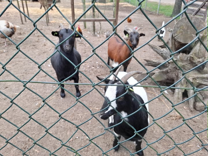 Photo 30 of Wildforsterweg 17-152