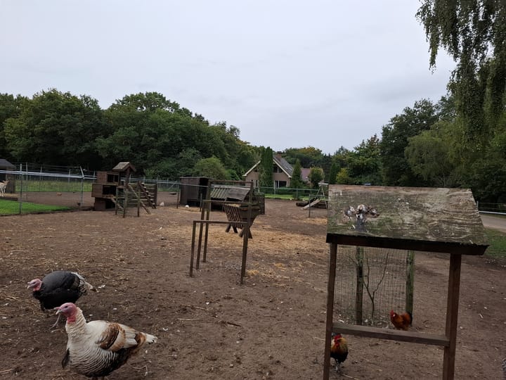 Photo 31 of Wildforsterweg 17-152