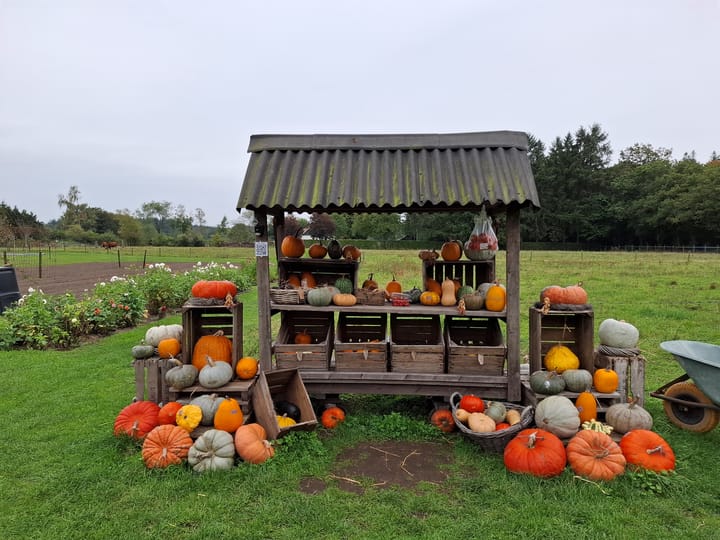 Photo 32 of Wildforsterweg 17-152