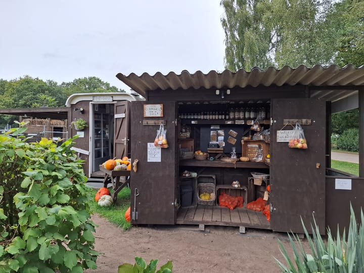 Photo 33 of Wildforsterweg 17-152