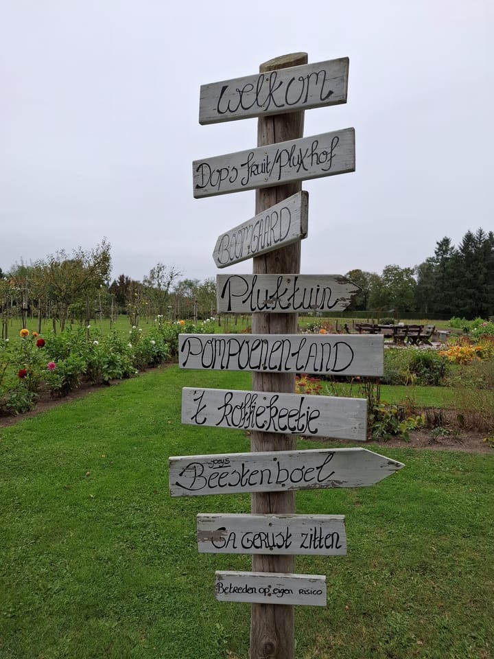 Photo 34 of Wildforsterweg 17-152