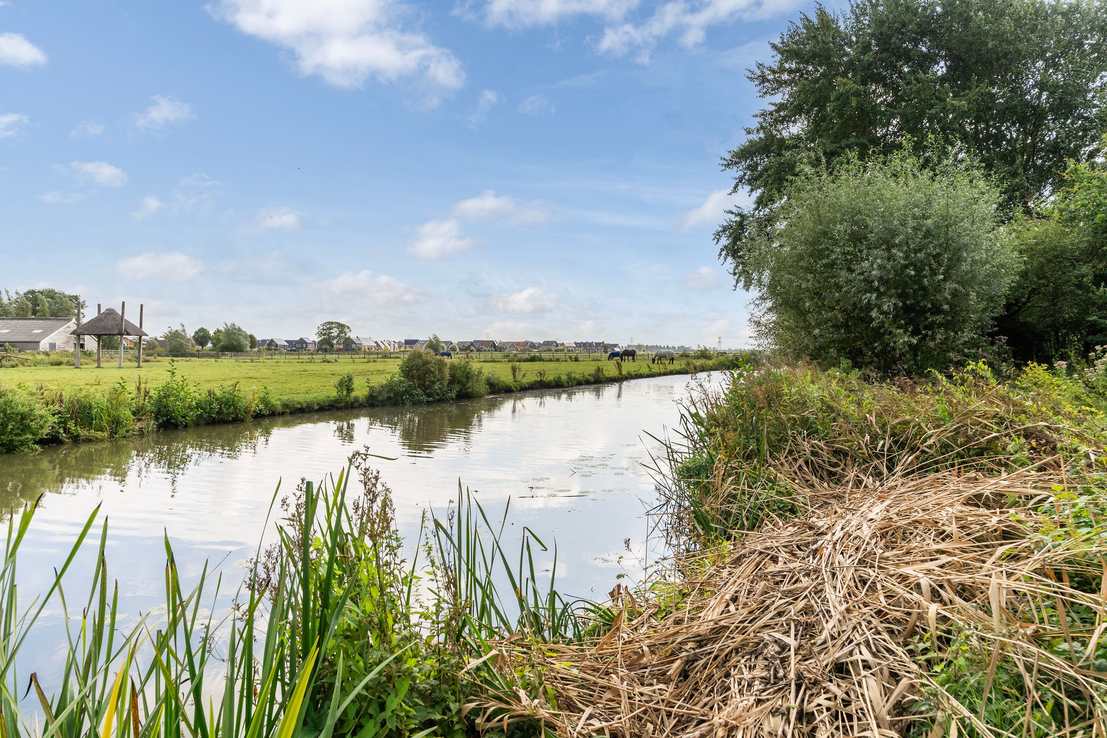 Foto 48 van Haven 42