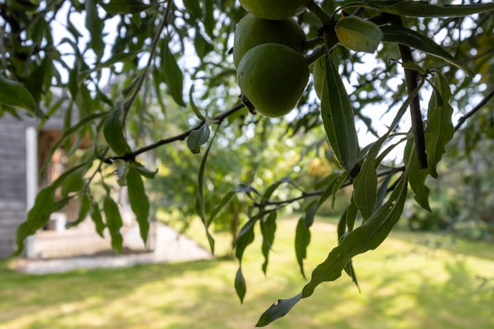 Foto 38 van Sluisweg 54-A