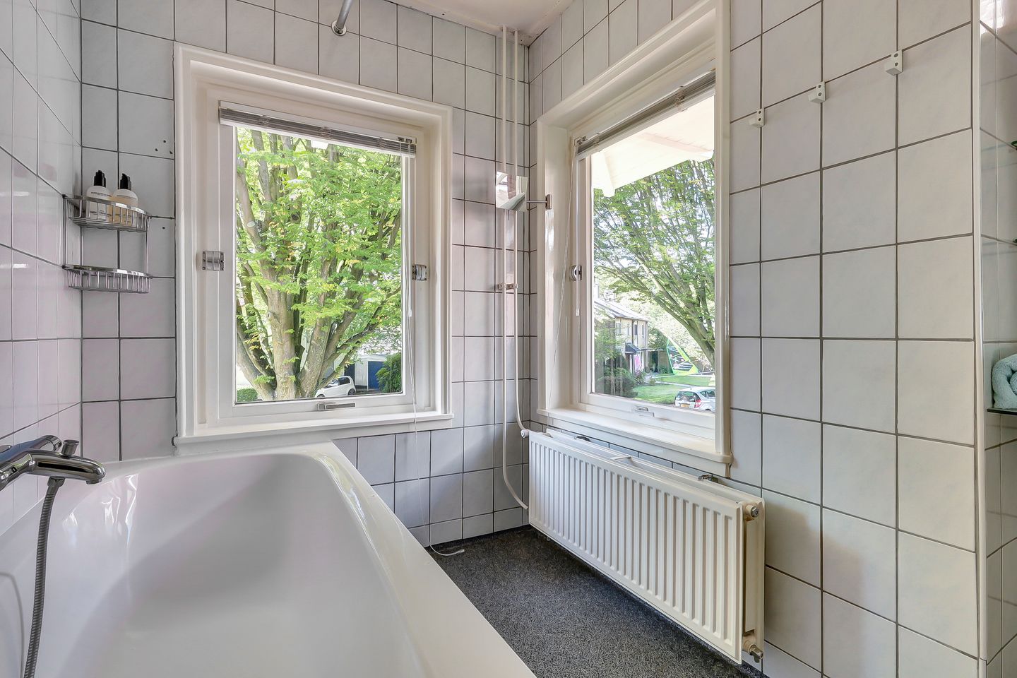 Foto 29 van Minister Treubstraat 19