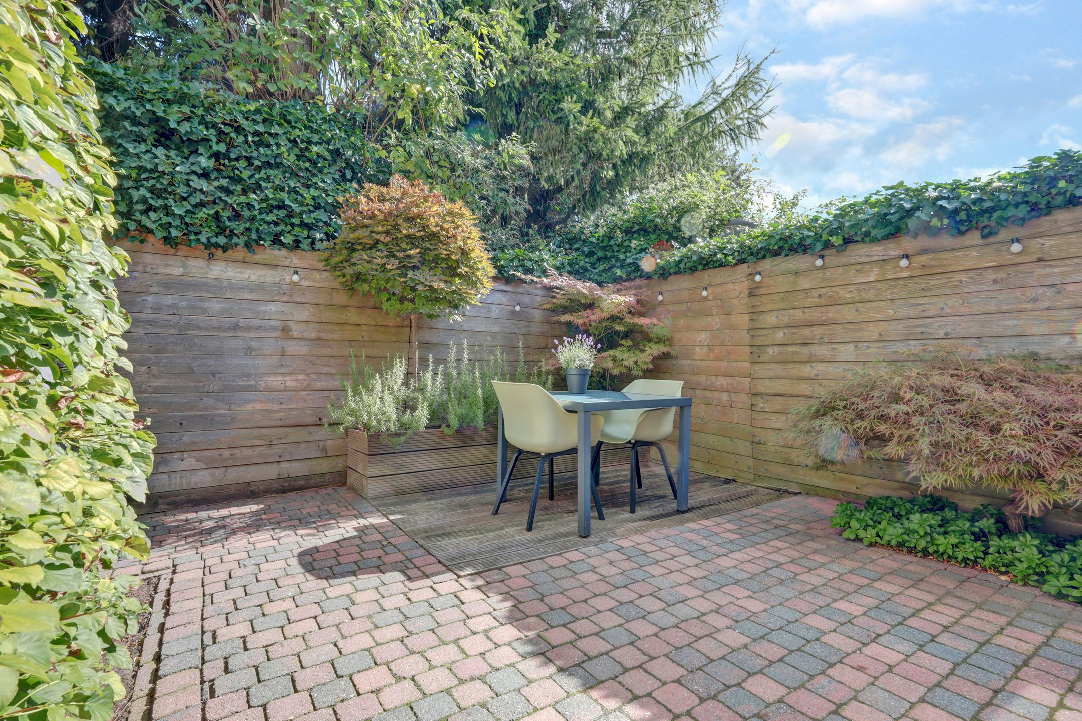 Foto 39 van Minister Treubstraat 19