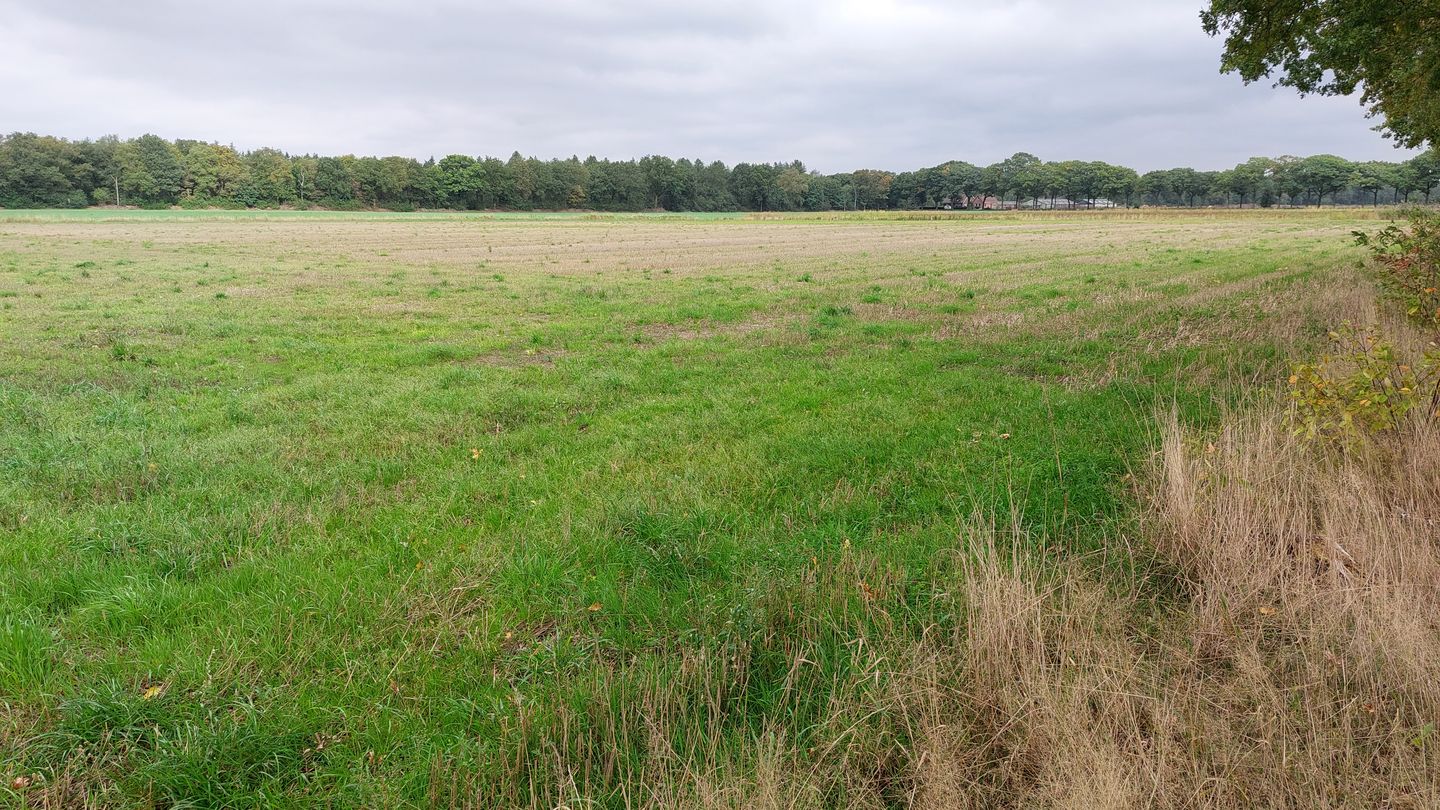 Bekijk foto 5 van Michelslaan