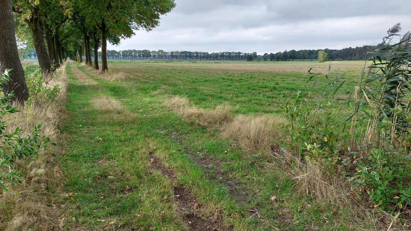 Bekijk foto 4 van Michelslaan
