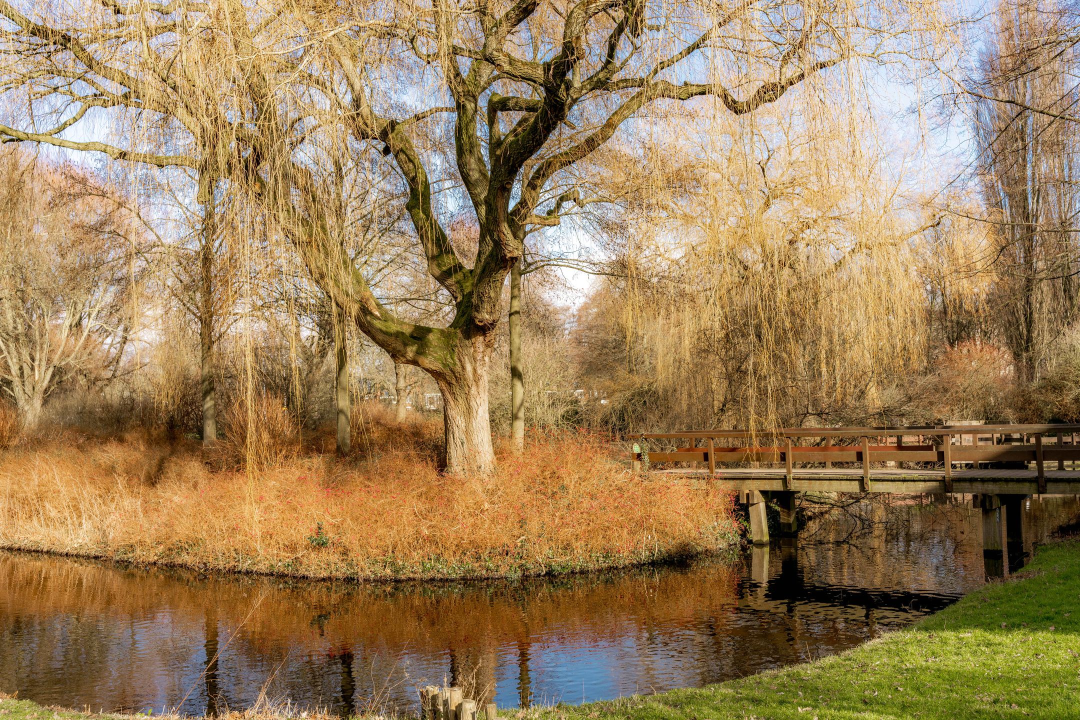 Foto 33 van Dr. Willem Dreesweg 331