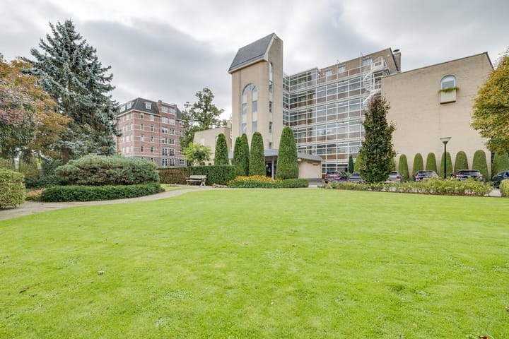 Foto 29 van Loolaan 352