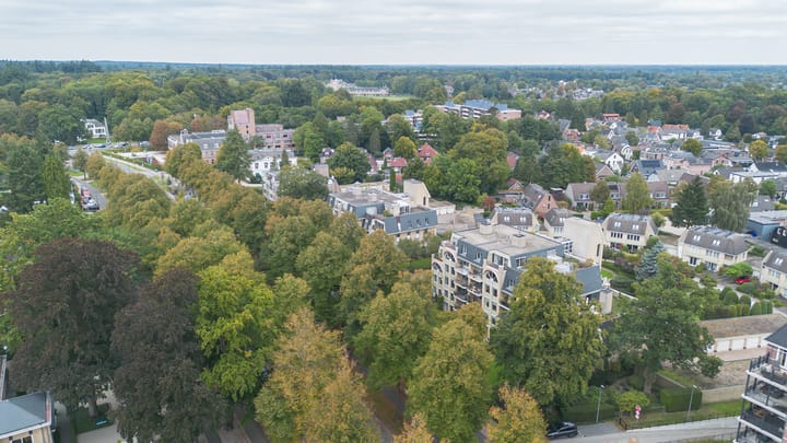 Foto 35 van Loolaan 352