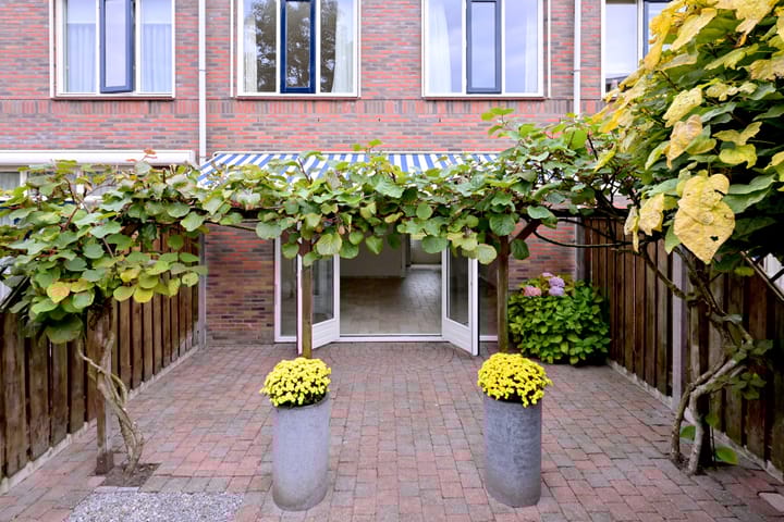 Foto 3 van Veerispad 4