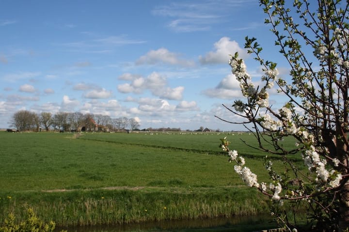 Foto 3 van Hoekerhof 41