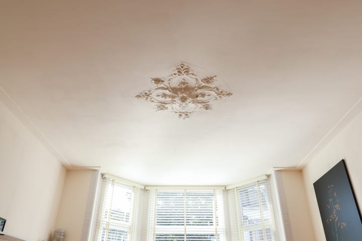 Foto 21 van Vredeman de Vriesstraat 51