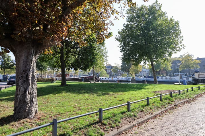 Foto 63 van Vredeman de Vriesstraat 51