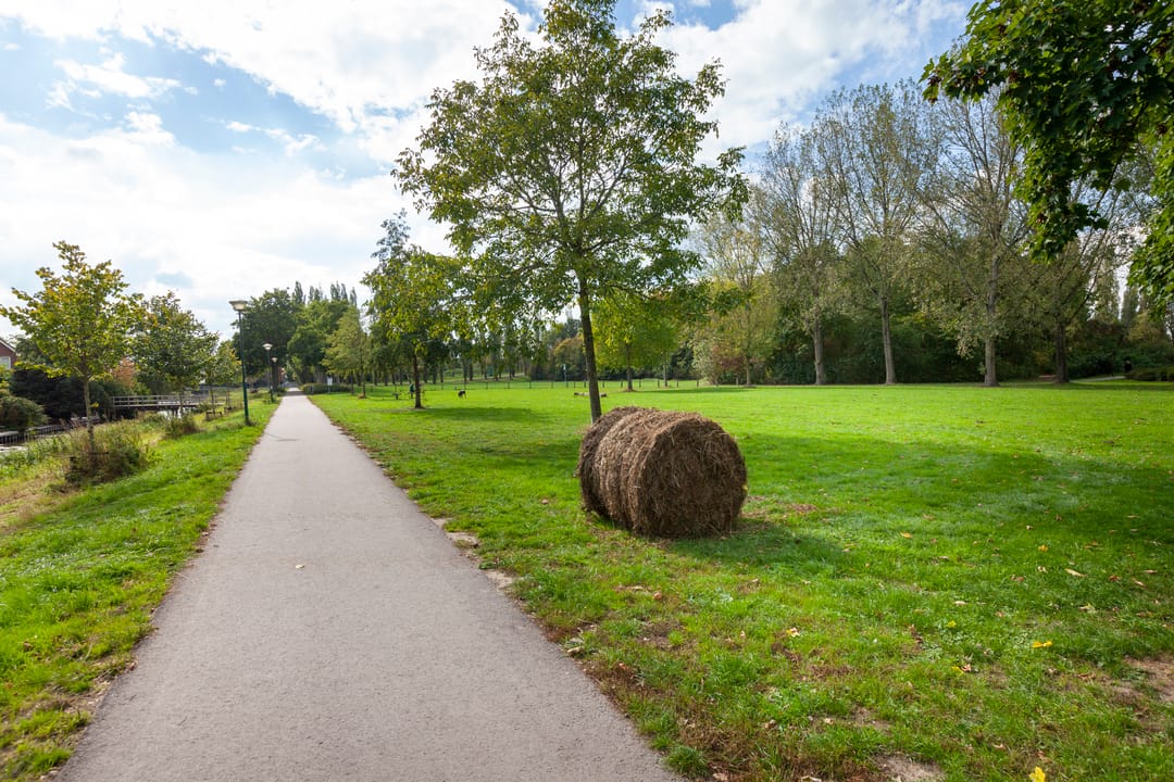 Foto 37 van het Spaarne 8