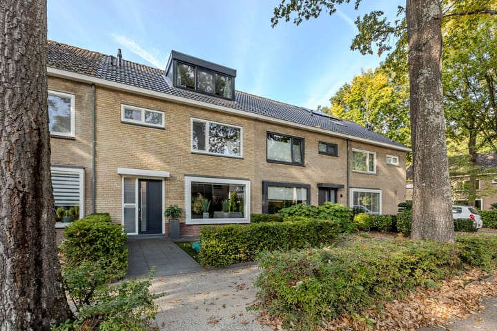 Foto 55 van Erasmuslaan 6