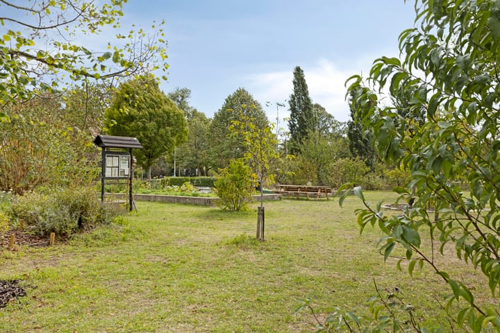 Photo 30 of Frederik Hendriklaan 59