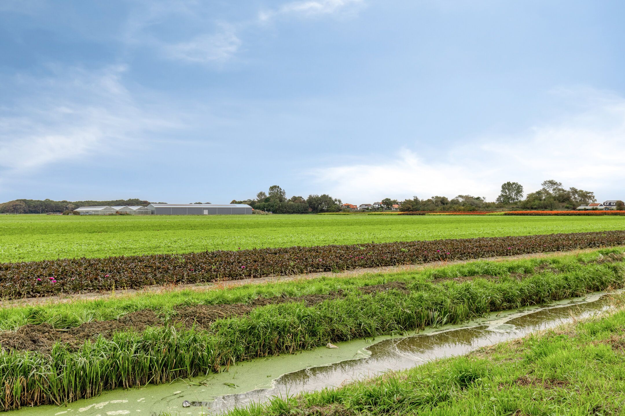 Foto 42 van Vogelenveld 62