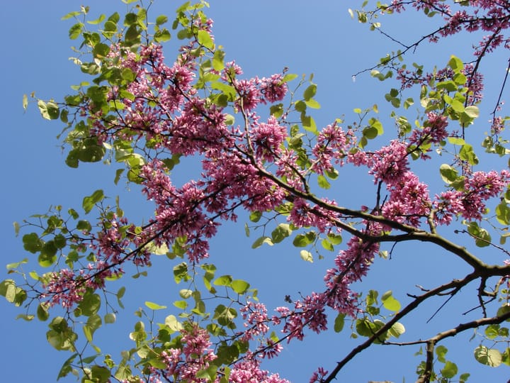 Foto 17 van Van Miereveltlaan 5-D