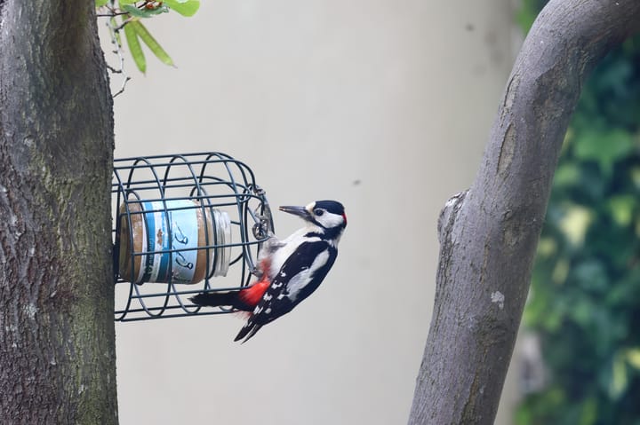 Foto 19 van Van Miereveltlaan 5-D