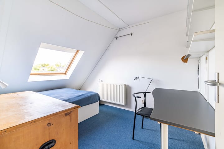 Foto 43 van Van Miereveltlaan 5-D