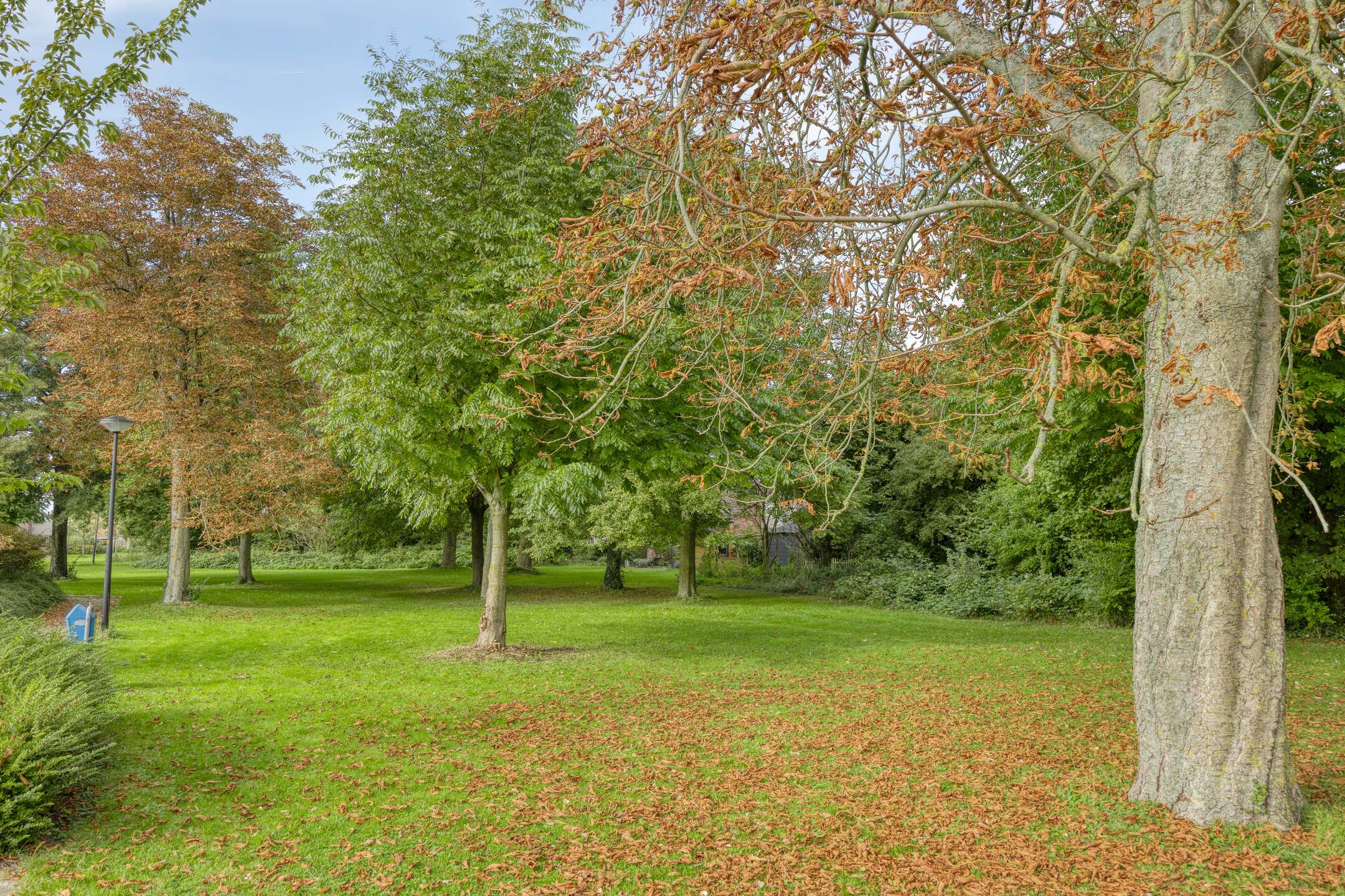 Foto 24 van Korund 80