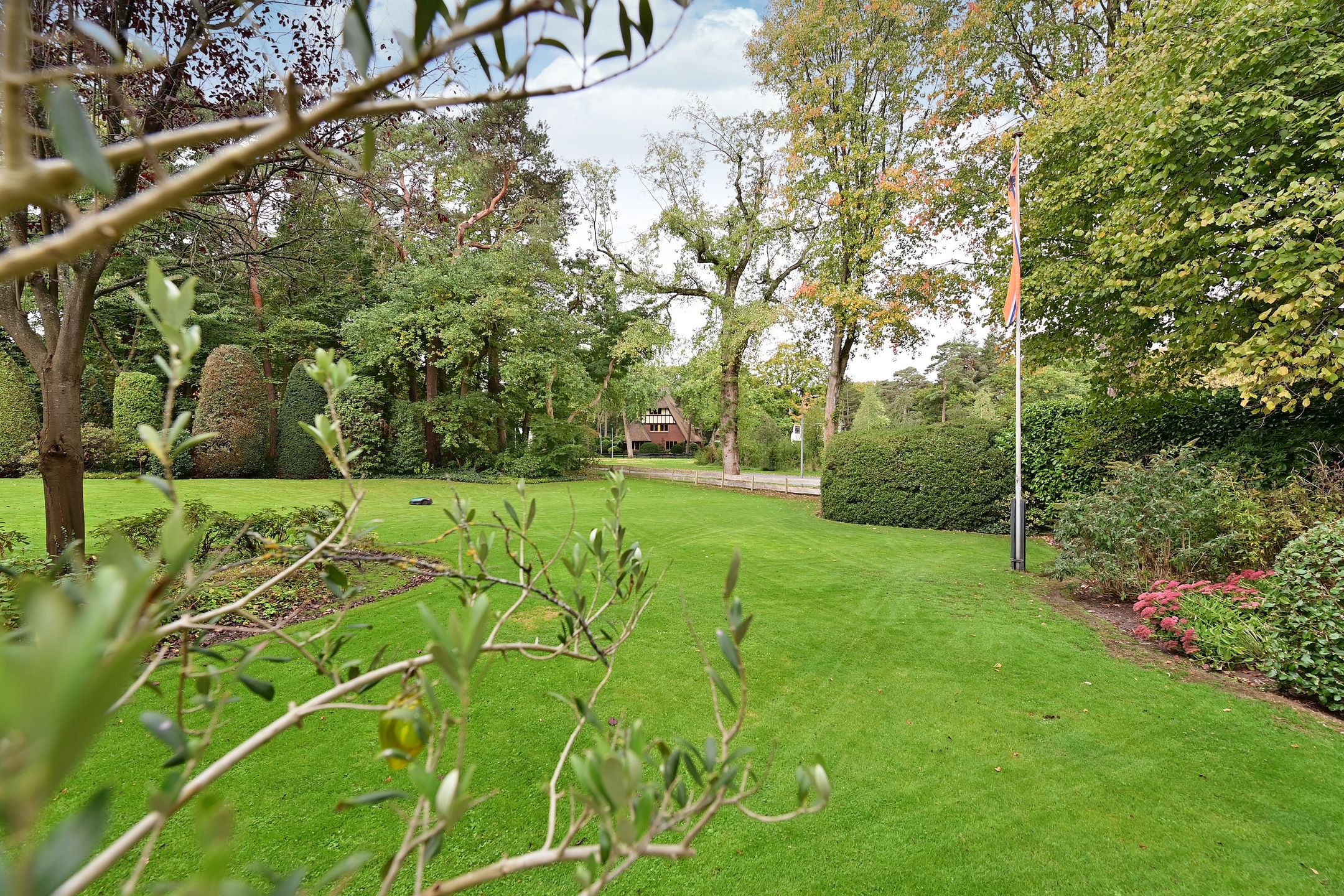 Foto 24 van Rossinilaan 26