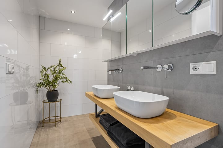 Foto 24 van Kievit 12-B683