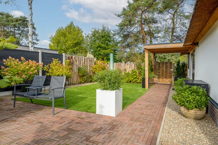 Foto 49 van Kievit 12-B683