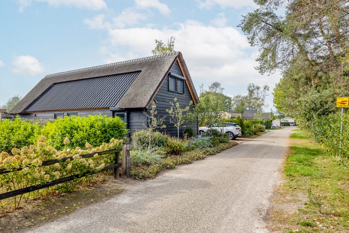 Foto 56 van Kievit 12-B683