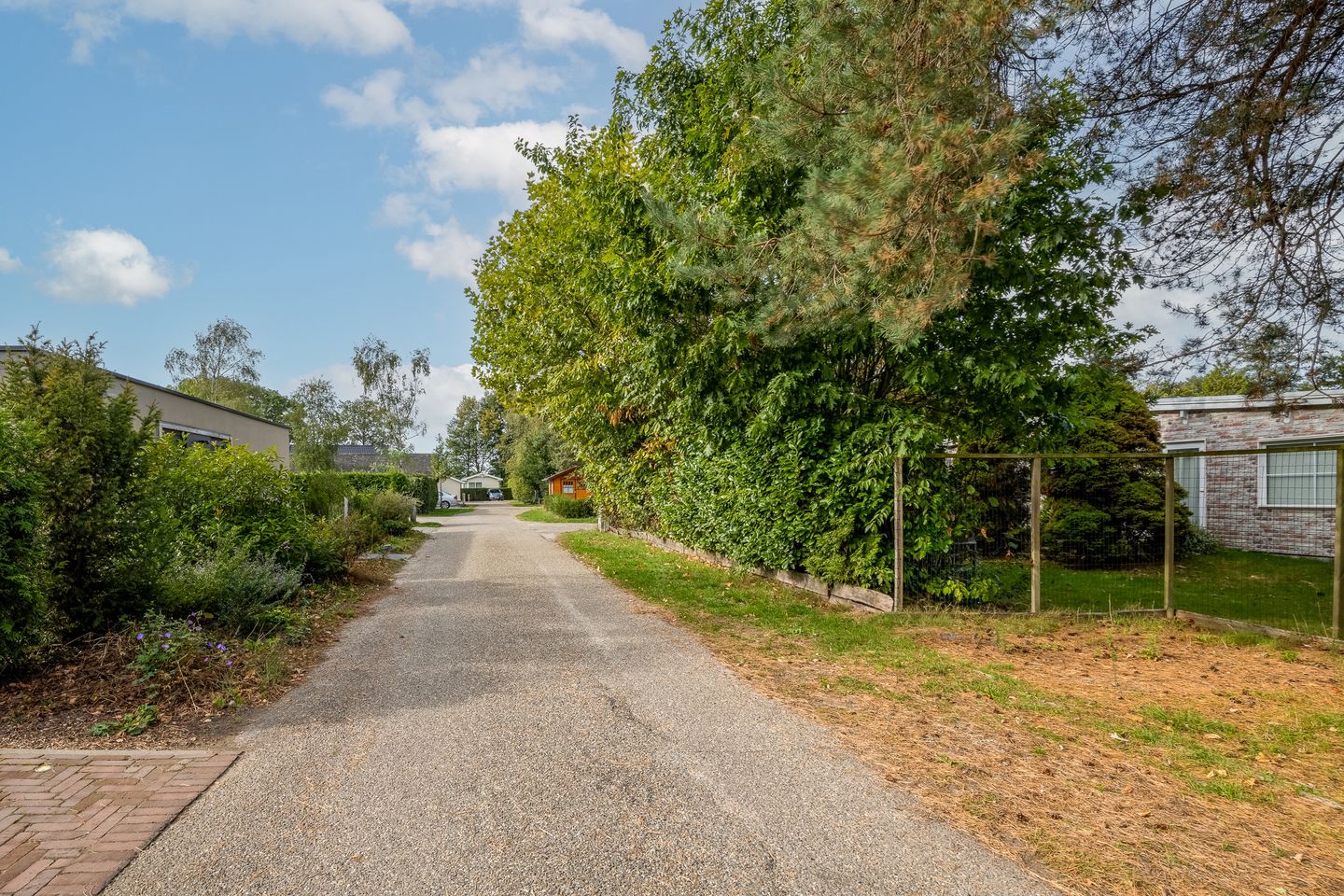 Photo 59 of Kievit 12-B683