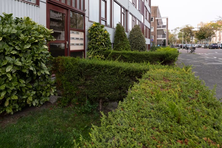 Foto 31 van Van der Lelijstraat 11-III