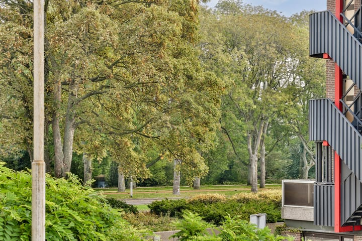 Foto 8 van Hermonlaan 9