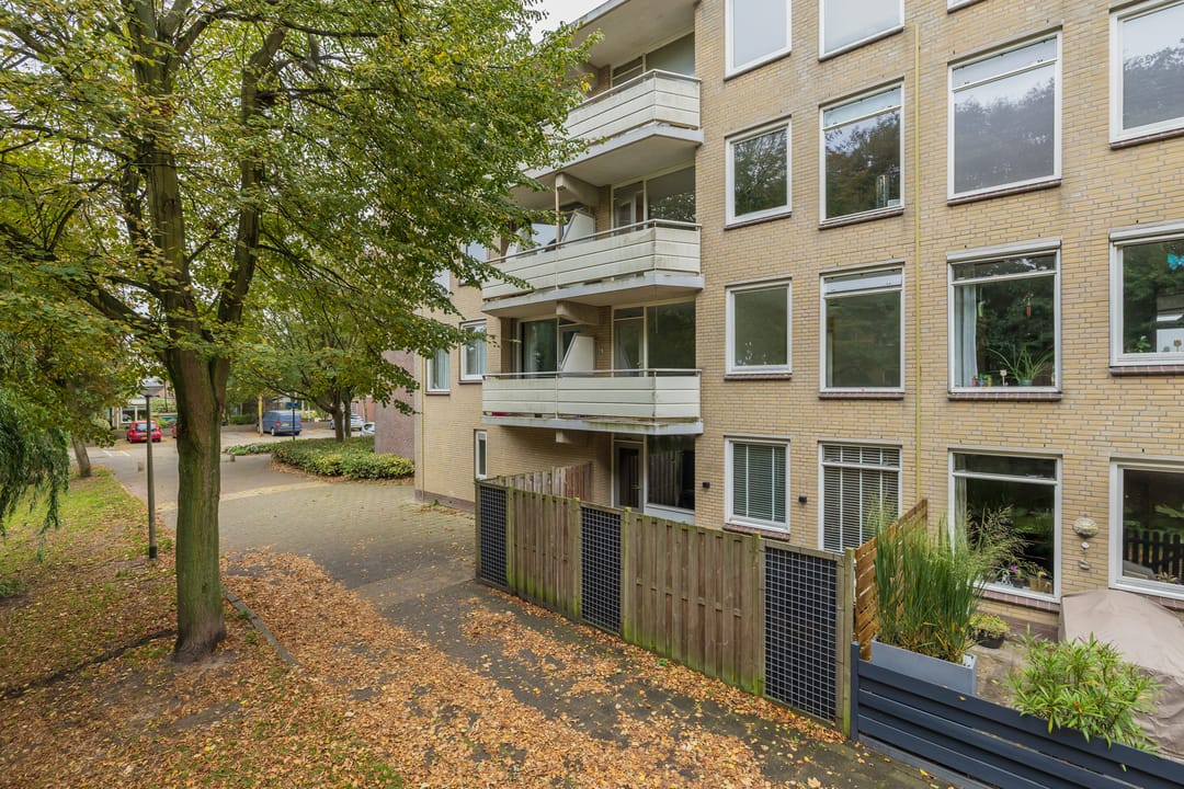 Photo 1 of Springtij 14