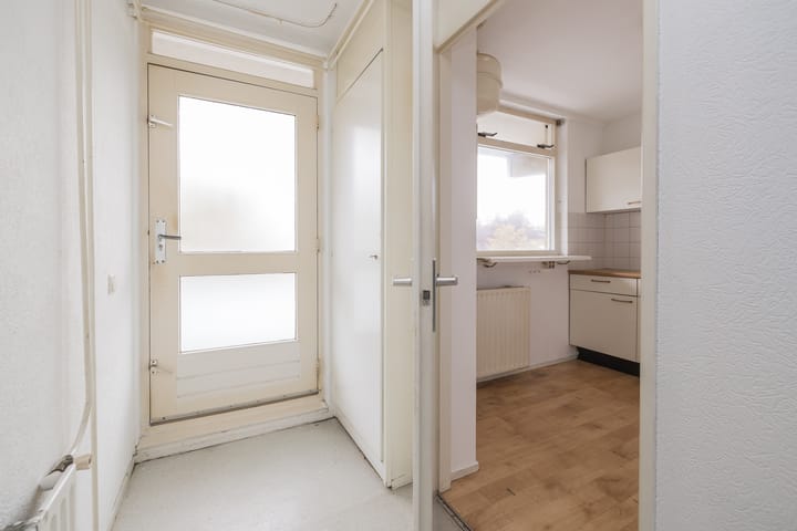 Foto 3 van Springtij 14