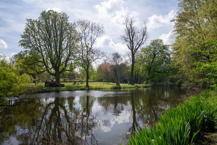 Foto 33 van Jacob van Lennepkade 80-G