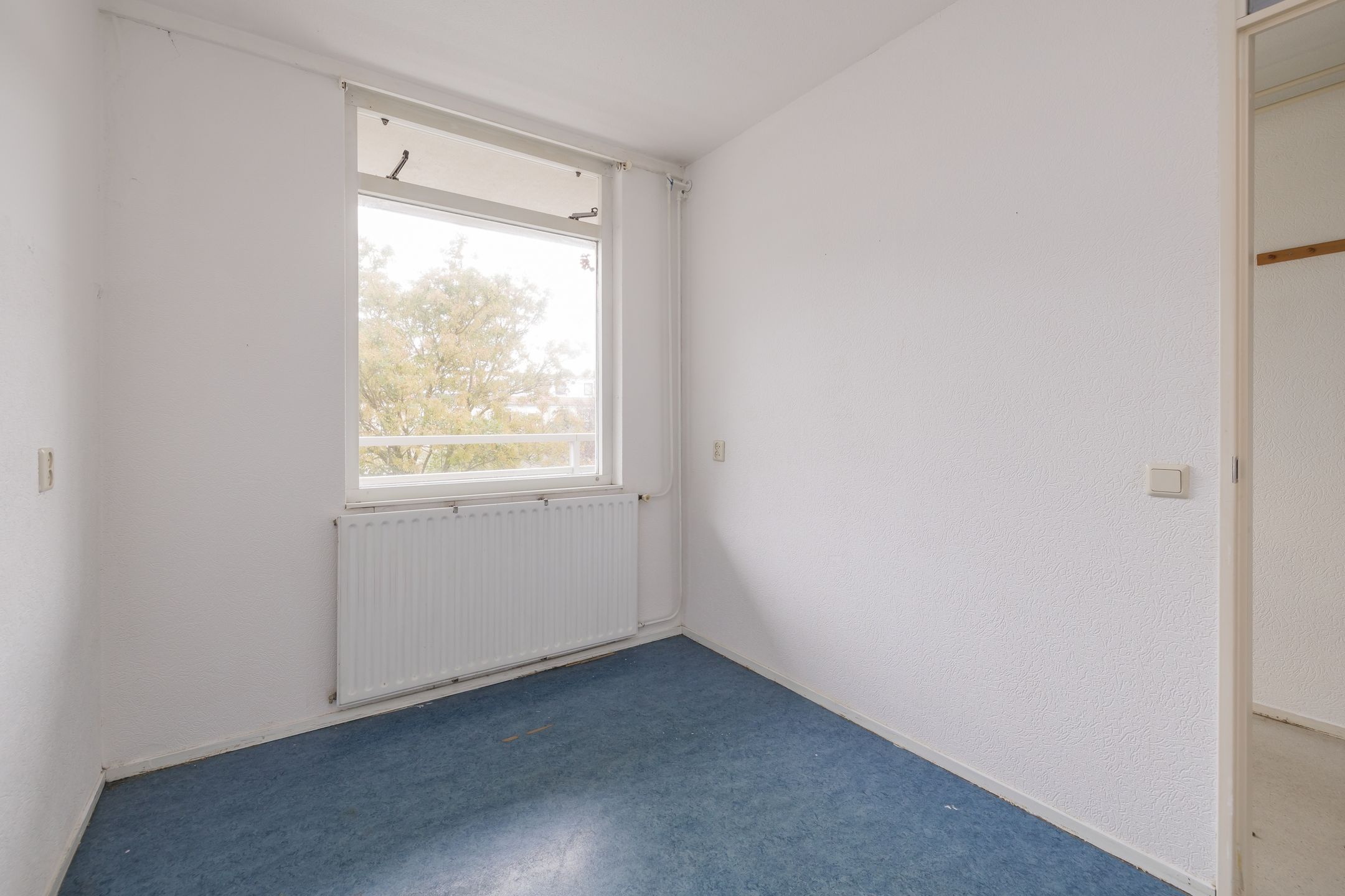 Photo 6 of Springtij 14