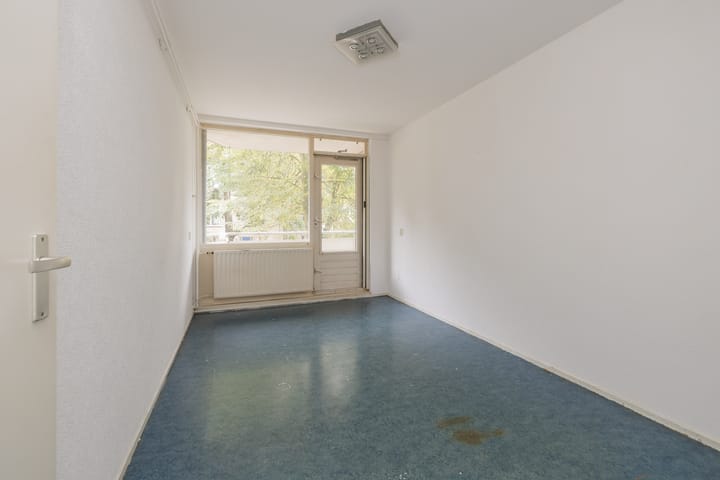 Foto 14 van Springtij 14