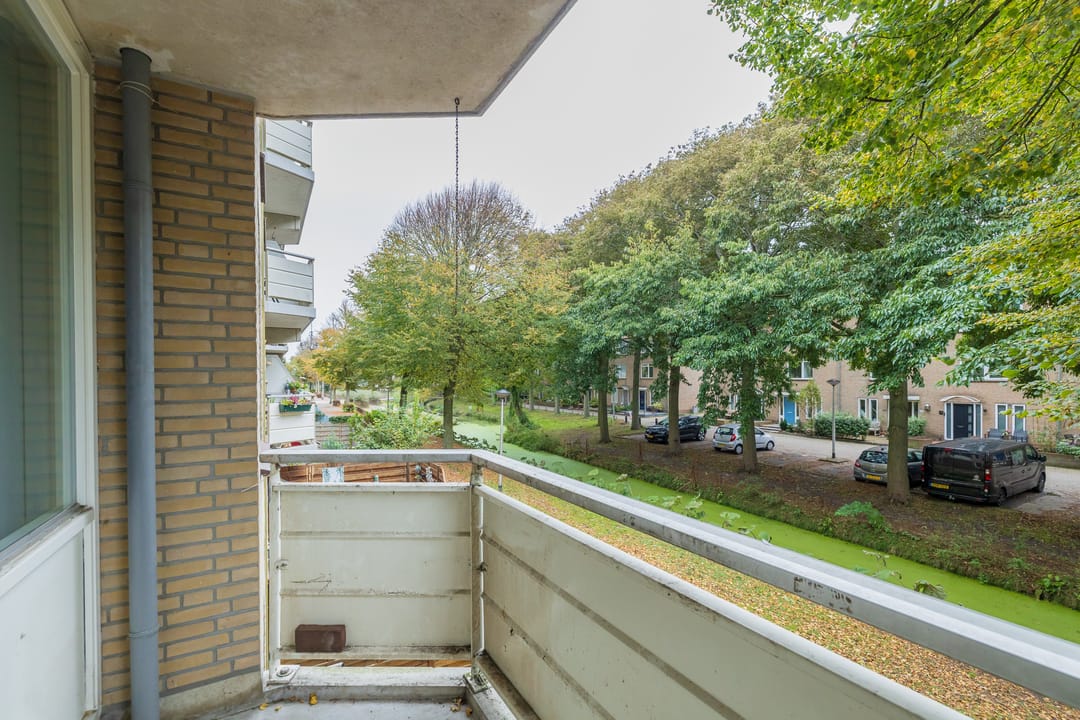 Photo 16 of Springtij 14