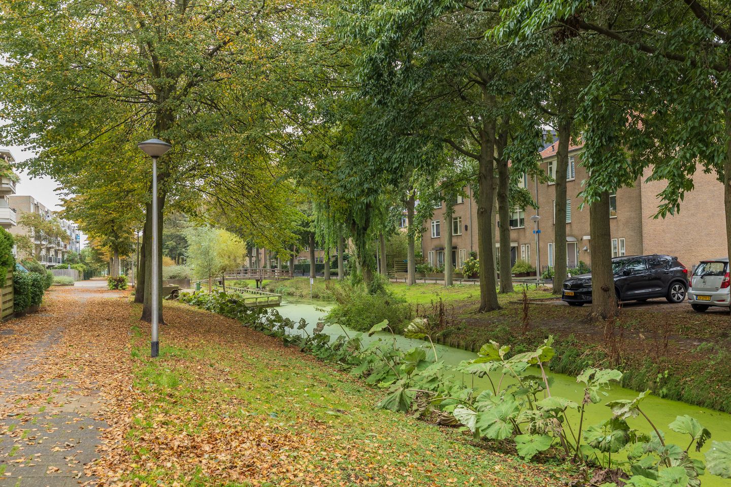 Photo 20 of Springtij 14