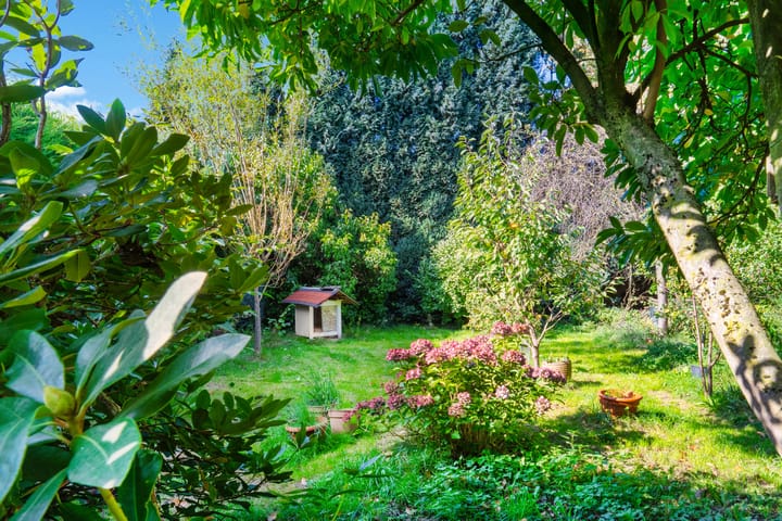 Foto 2 van Drievogelstraat 34